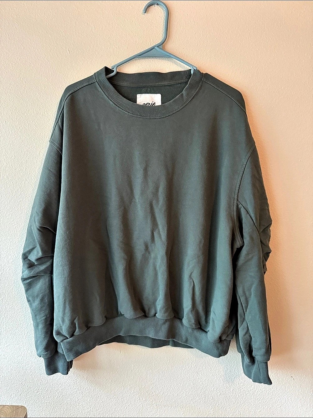 aerie Crew Sweatshirt Green Medium